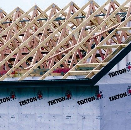 Tekton ˮ͸Ĥ