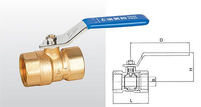 ͭq11W-20T