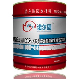 NG-12۰Թཬ