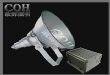 EBF304Ͷ