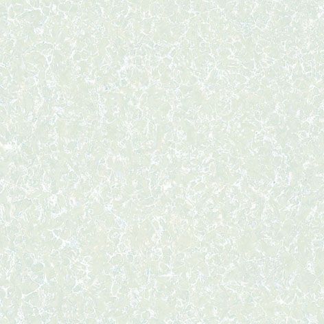 ϵ׹ذשPT001