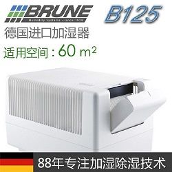 BRUNEʪ,B125ʻ
