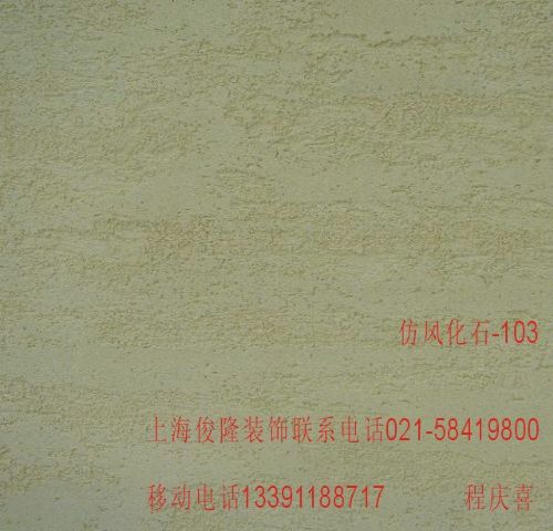·绯ʯװ