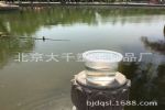 大千PS材质斗鱼杯