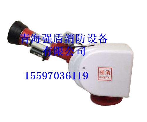 ԶˮZDMS0.8/3