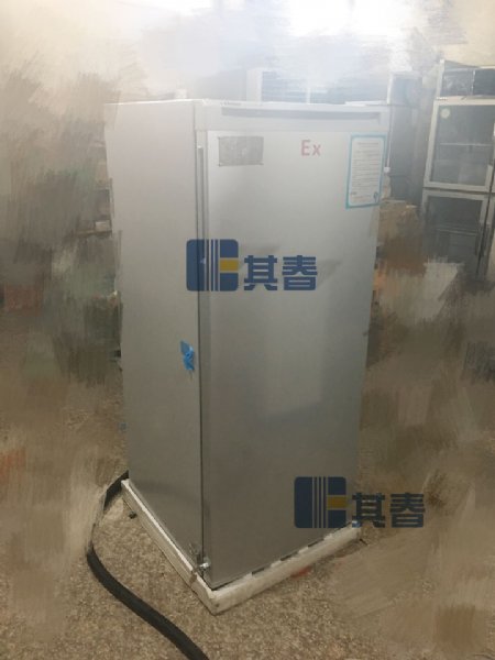  ʽBL-WD200D