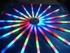 LED⻤