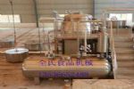 QS-1000ݶйװ