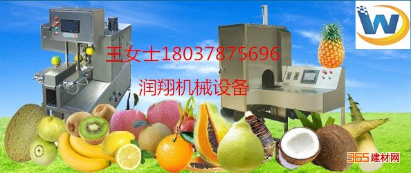 润祥XP-11全自动菠萝削皮机
