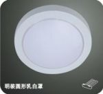 明装圆形乳白厨卫灯