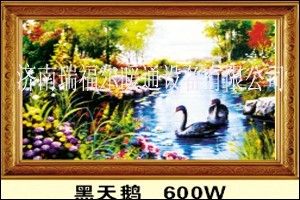 碳纤维电暖器TDQ-7 黑天鹅