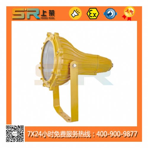 SR313ϵڳǿͶ