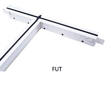 ϵFUT