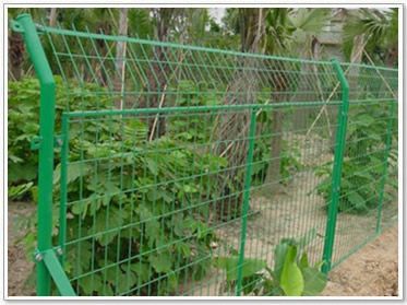 安平胜威供应框架护栏网