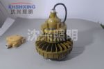 LED100W