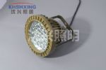 LED60W
