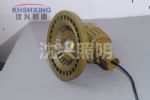 沈兴LED防爆灯50W