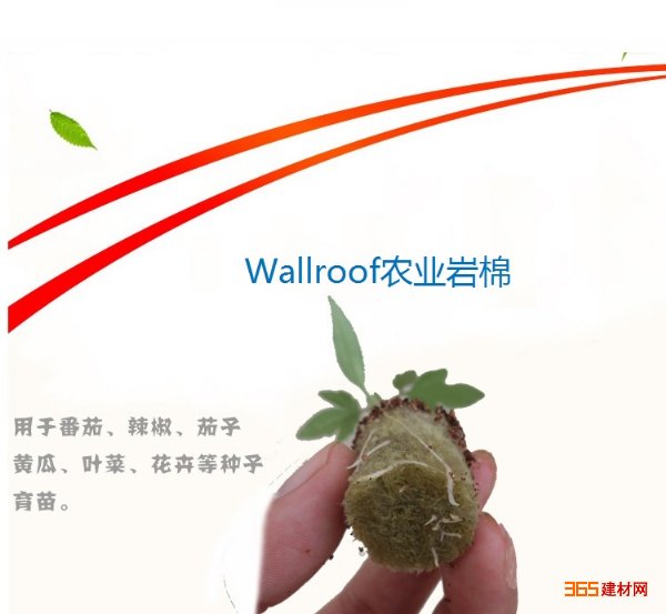 Wallroofũҵ ũҵ 