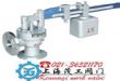 GA41H单杠杆安全阀