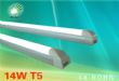 ledչt5ϵ