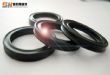 ȦX-Ring