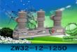 zw32-12  ն·