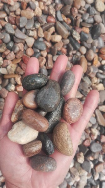 10-13���ֻ��¶���ʯ����  ��������˳���Ʒ�ӹ���