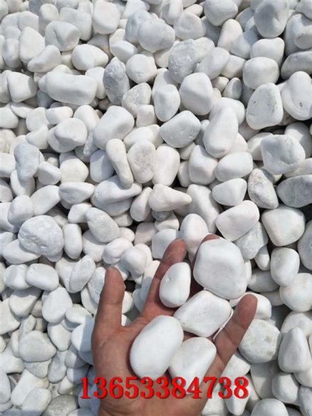 石家庄永顺生产五彩雨花石 机制抛光白色鹅卵石