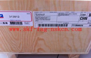 SKF313812