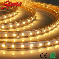 װLEDѹƴSPT-5050WW-60