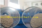 Aisi316/316Lʲ
