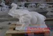 石雕大象SH8009