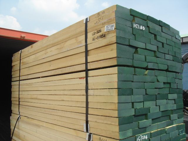 水曲柳(白腊木)