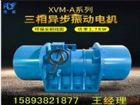 宏达 XVM-A-50-6 全铜线圈振动电机 振动设备规格齐全