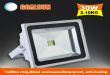 LED30WͶ