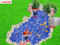深圳私家鱼池水处理设备包安装免维护