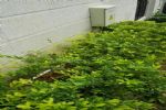 宏润众达埋地泄漏电缆