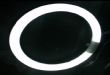 ledεƹ 16W