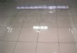 PVC͸