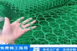 矩形塑料土工网厂家