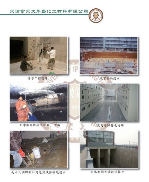 ཬ©TPT-2