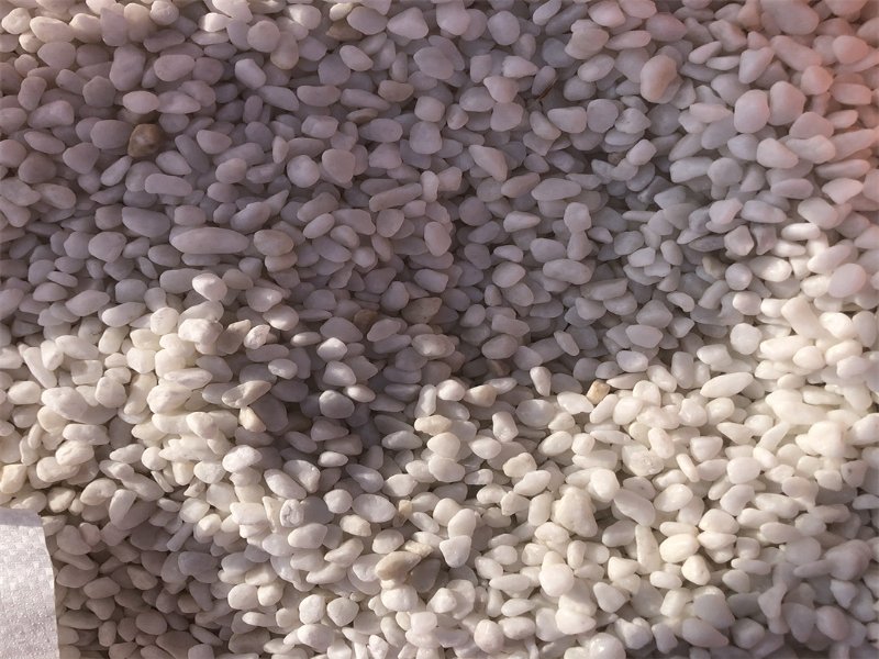 白色鹅卵石 庭园造景白色洗米石