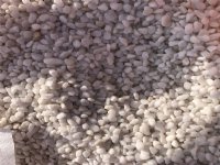 白色鹅卵石 庭园造景白色洗米石