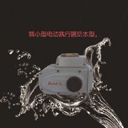 Ӧµ綯