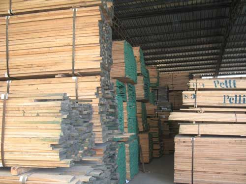 供应美国白腊木