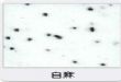 天津优质微晶石