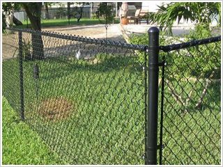 绿化用勾花网 联航-020