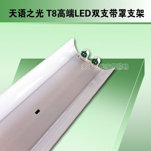 T8˫֧֧