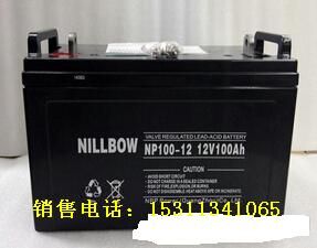 NP100-12