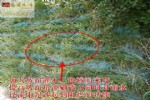 简易边坡植草袋,不带草种护坡袋